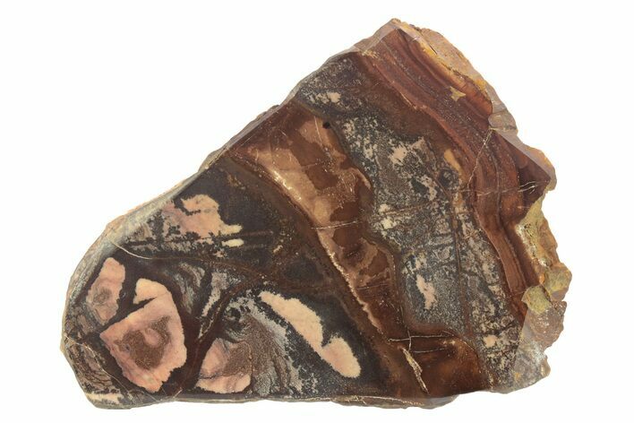 Polished Outback Jasper - Western Australia #240016